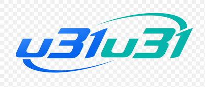 u31u31